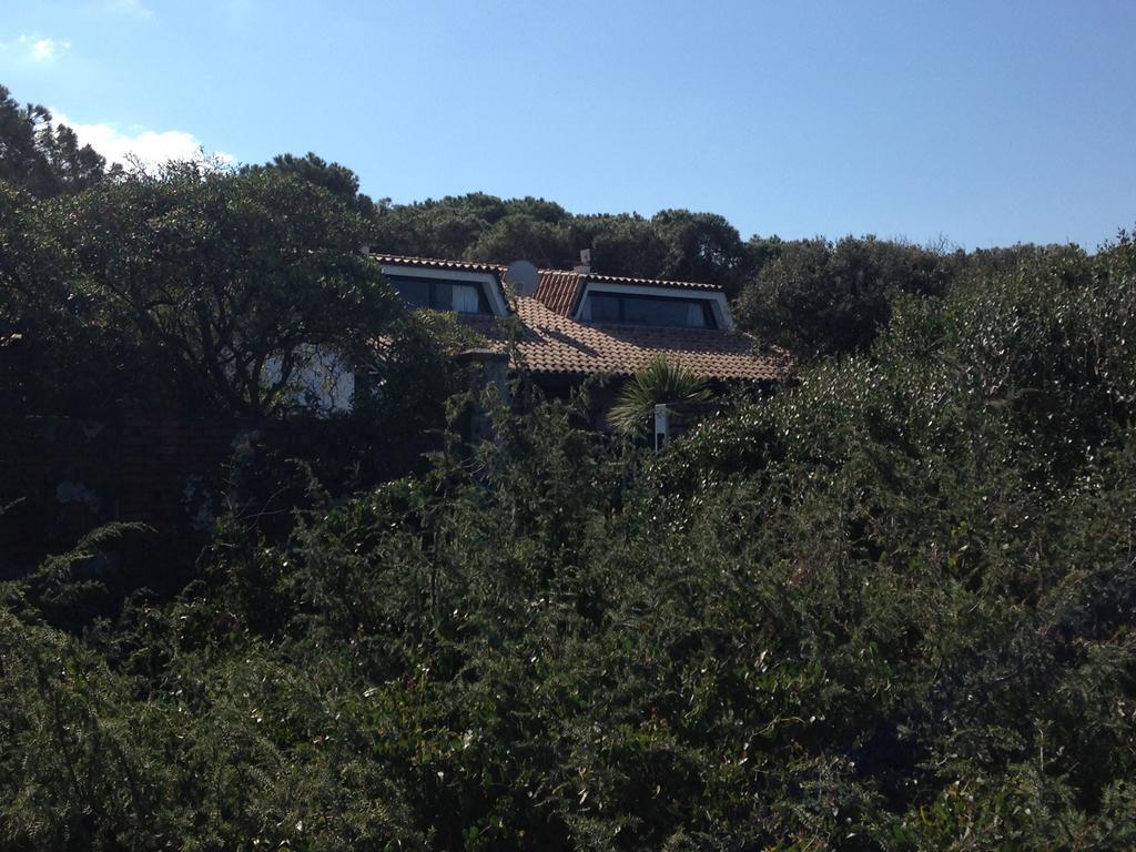 Villa Giannella 奥尔贝泰洛 外观 照片