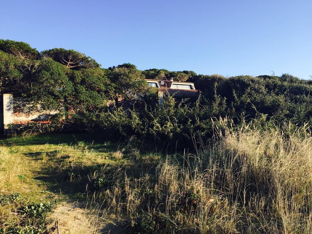 Villa Giannella 奥尔贝泰洛 外观 照片